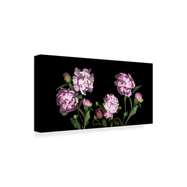 Susan S. Barmon 'Peonies' Canvas Art,16x32